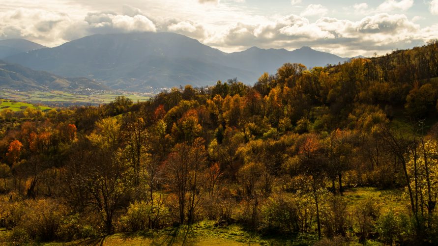 Cerdanya321