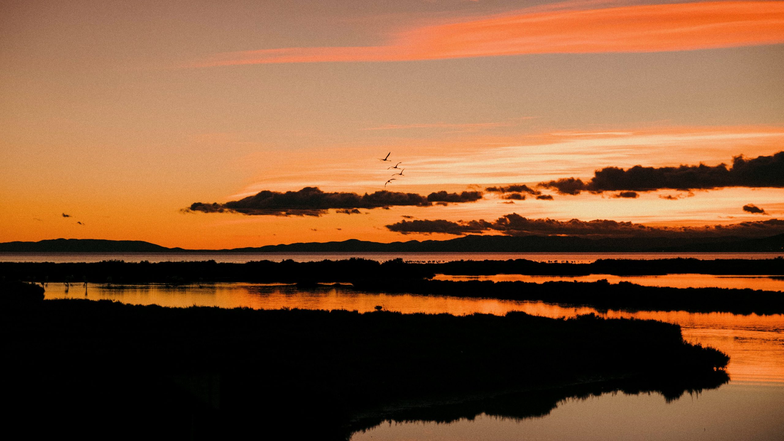 Delta de l'Ebre<br>321